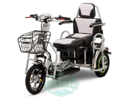 Трехколесный электроскутер Wellness Adjutant Maxi 600W 48V 20Ah Трехколесный электроскутер Wellness Adjutant Maxi 600W 48V 20Ah