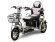 Трехколесный электроскутер Wellness Adjutant Maxi 600W 48V 20Ah Трехколесный электроскутер Wellness Adjutant Maxi 600W 48V 20Ah