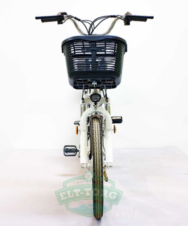 Электровелосипед GreenCamel Транк-20 (R20 350W 48V)
