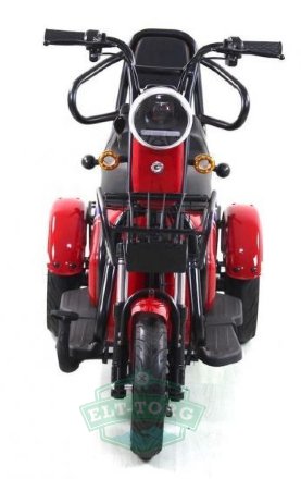 E-trike Donny E-trike Donny