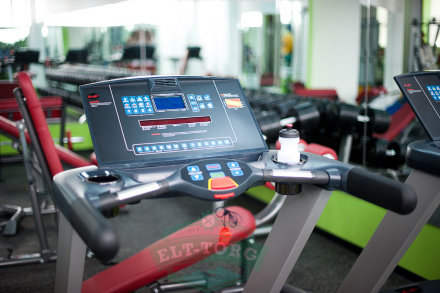 Беговая дорожка Aerofit 8700TM Беговая дорожка Aerofit 8700TM