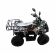 Электроквадроцикл VOLTRIX LEOPARD MAXI 1000