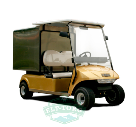 Гольф кар Eway FMS6