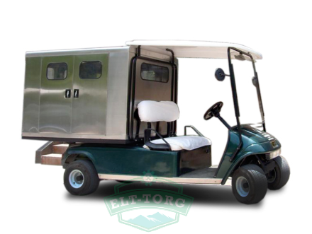 Гольф кар Eway FMS6
