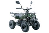 Электроквадроцикл VOLTRIX MUSTANG MINI 800(Барс Мини) Электроквадроцикл VOLTRIX MUSTANG MINI 800(Барс Мини)