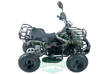 Электроквадроцикл VOLTRIX MUSTANG MINI 800(Барс Мини) Электроквадроцикл VOLTRIX MUSTANG MINI 800(Барс Мини)