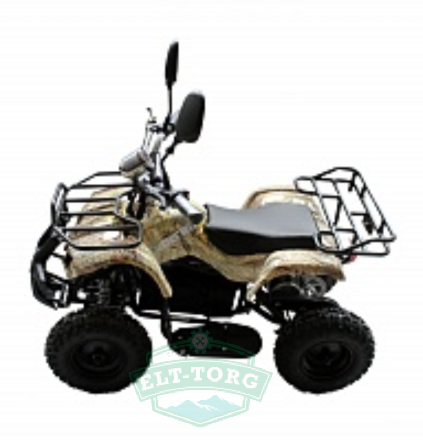 Электроквадроцикл VOLTRIX MUSTANG MINI 800(Барс Мини) Электроквадроцикл VOLTRIX MUSTANG MINI 800(Барс Мини)