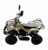 Электроквадроцикл VOLTRIX MUSTANG MINI 800(Барс Мини) Электроквадроцикл VOLTRIX MUSTANG MINI 800(Барс Мини)