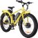 Volteco Bigcat Dual 1000WVolteco Bigcat Dual 1000W Volteco Bigcat Dual 1000WVolteco Bigcat Dual 1000W