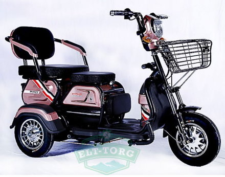 Трицикл E-TRIKE TRANSFORMER PRO 2+1 600w 48v 20Ah Трицикл E-TRIKE TRANSFORMER PRO 2+1 600w 48v 20Ah