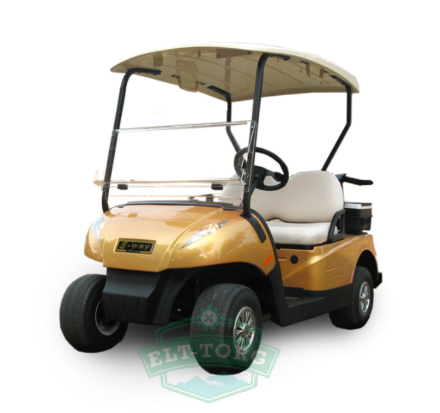 Гольфкар Eway hm2