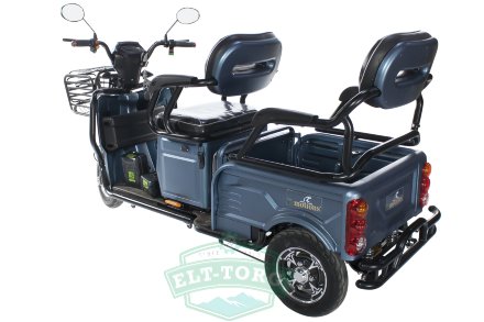 Электротрицикл E-motions Trike Transformer