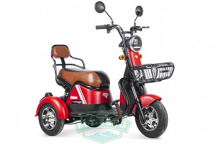 Электротрицикл Rutrike Шкипер