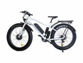 Электрофэтбайк E-motions FAT 26 Double 2 Электрофэтбайк E-motions FAT 26 Double 2