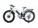 Электрофэтбайк E-motions FAT 26 Double 2 Электрофэтбайк E-motions FAT 26 Double 2