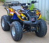 Электроквадроцикл Барс 1000XL Саламандр Электроквадроцикл Барс 1000XL Саламандр