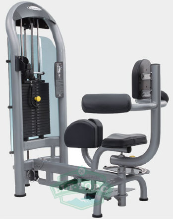 MATRIX G3 S55 Торс-машина (СЕРЕБРИСТЫЙ)